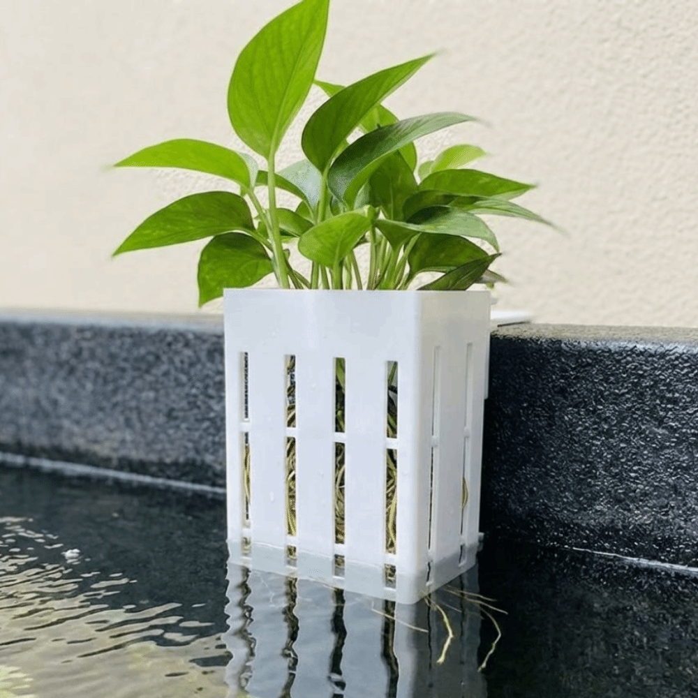 Wall-Mounted Aquarium Plant Ba - đánh giá và giá Aquarium Planted Wall