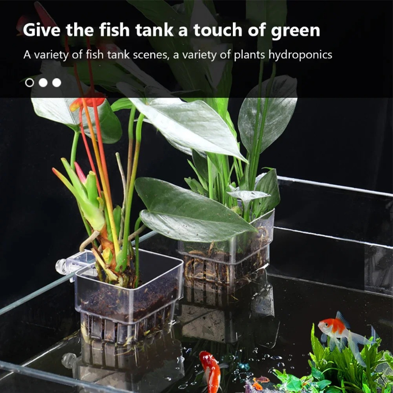 Aquarium Hanging Planter Cups  - đánh giá và giá Aquarium Planted Wall
