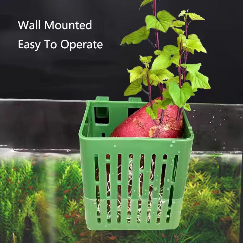 Fish Tank Water Grass Cup Aqua - đánh giá và giá Aquarium Planted Wall