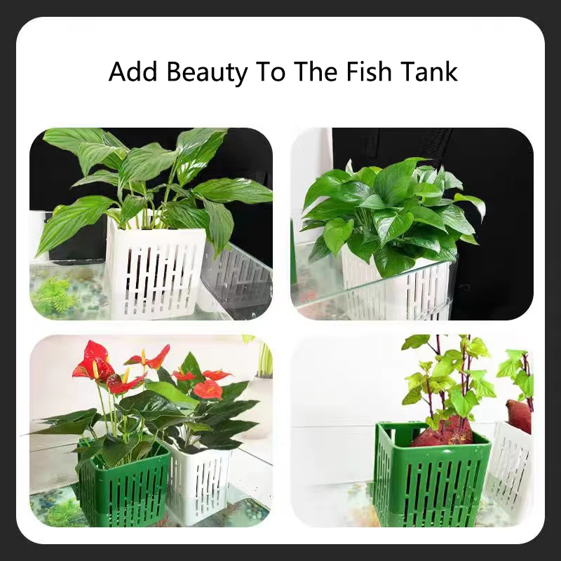 Fish Tank Water Grass Cup Aqua - đánh giá và giá Aquarium Planted Wall
