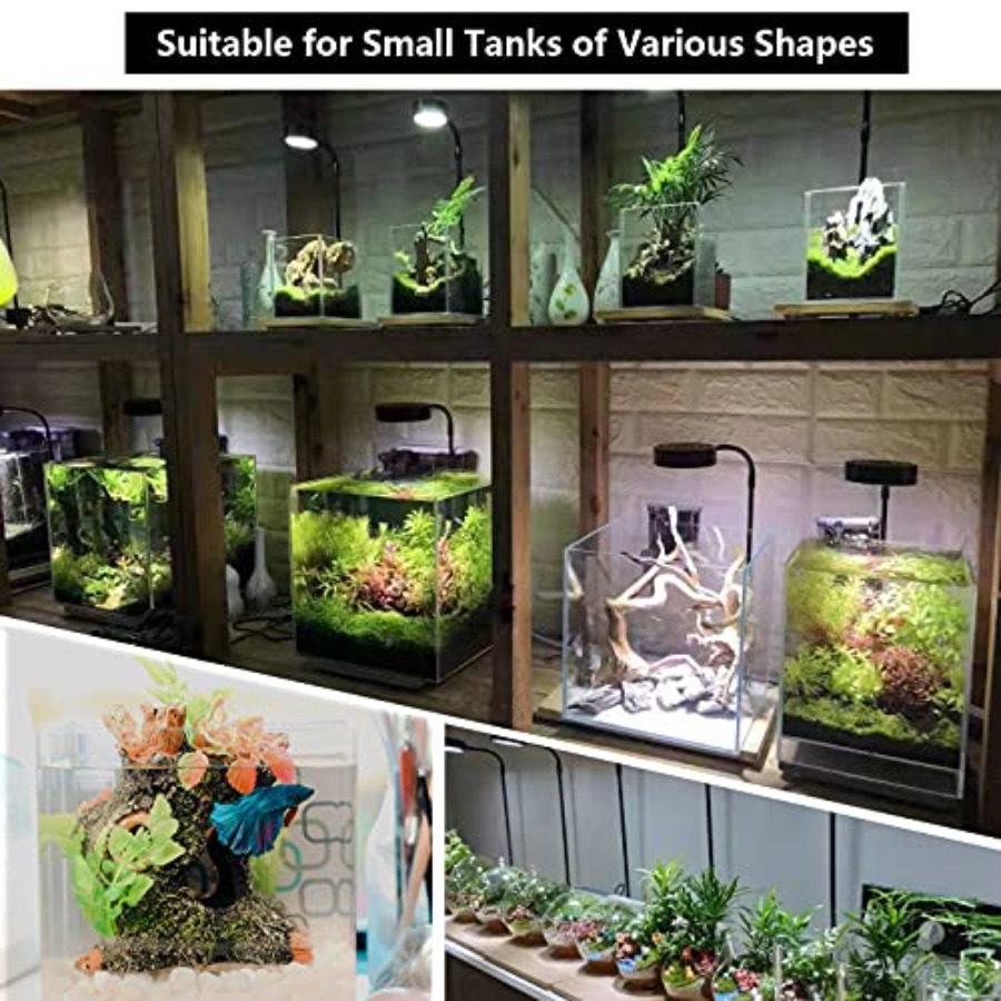 Aquarium Light Full Spectrum L - đánh giá và giá Planted Aquarium For Betta