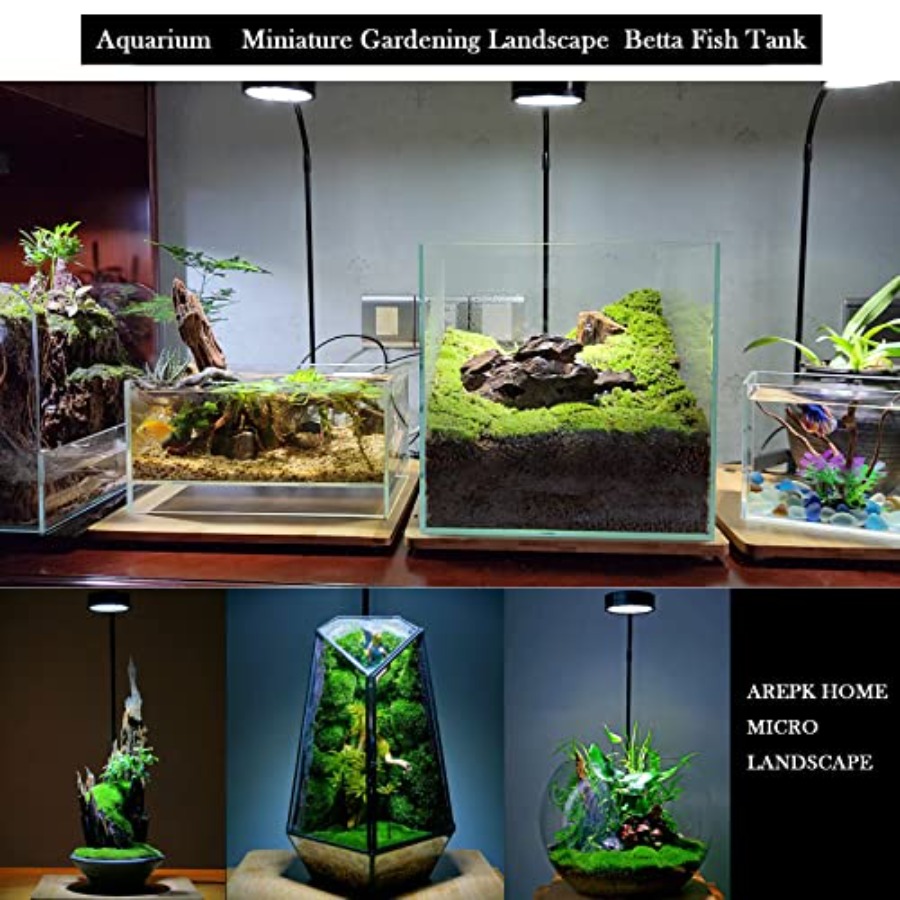 Aquarium Light Full Spectrum L - đánh giá và giá Planted Aquarium For Betta