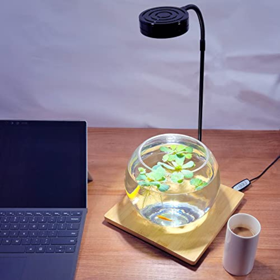 Aquarium Light Full Spectrum L - đánh giá và giá Planted Aquarium For Betta