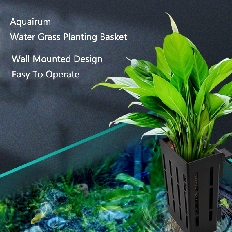 Plastic Aquarium Planting Bask - đánh giá và giá Aquarium Planted Wall