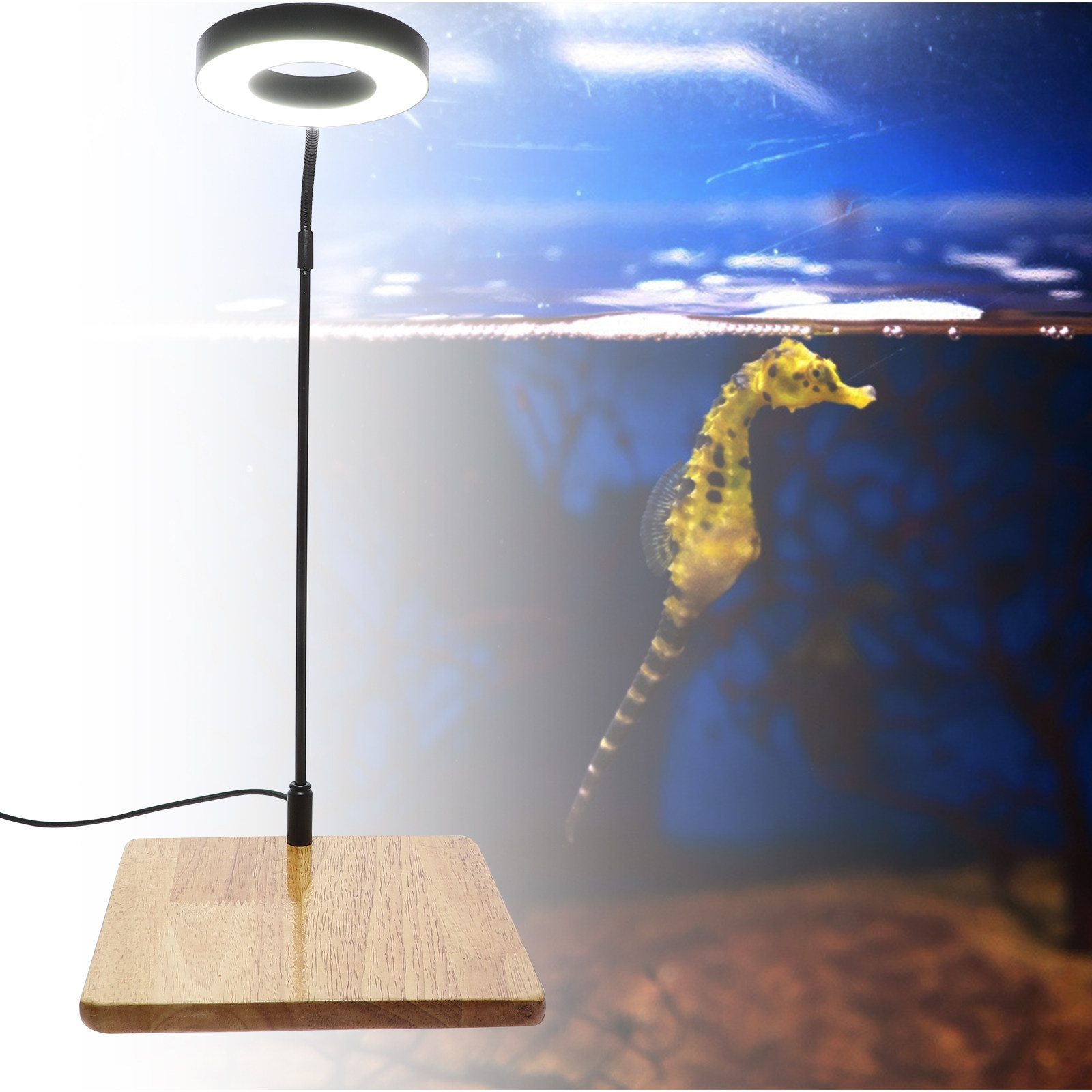 1Pcs Aquarium Fill Light High  - đánh giá và giá Aquarium Plant Light