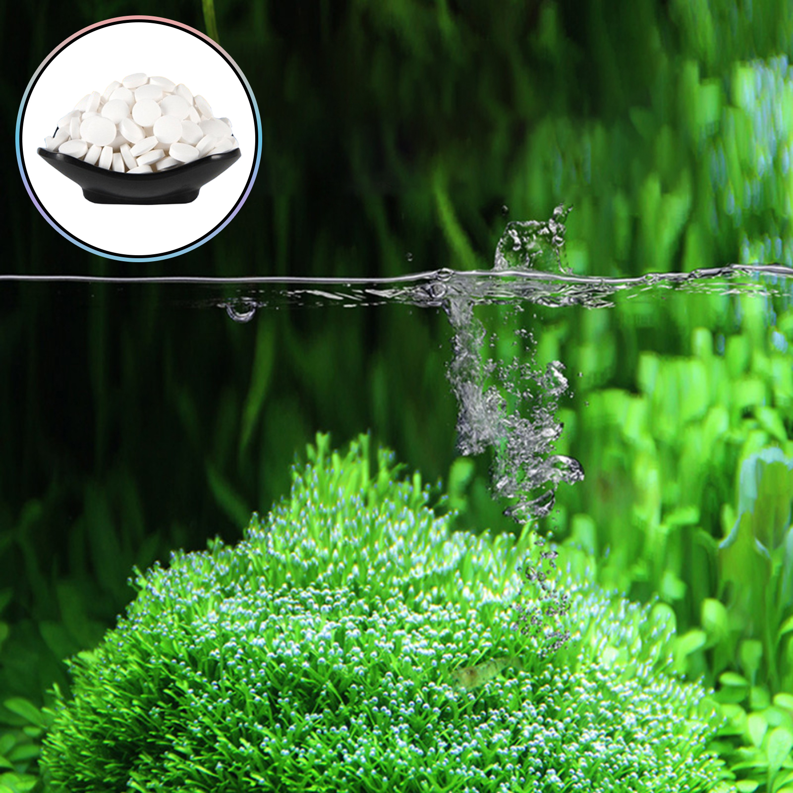 Algae Removal Tablets For Fish - đánh giá và giá Planted Aquarium Hair Algae