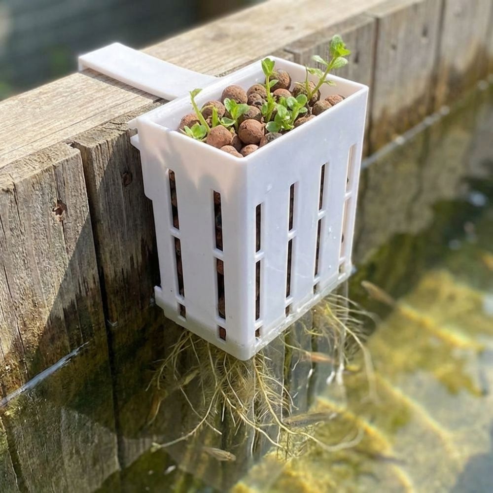 Wall-Mounted Aquarium Plant Ba - đánh giá và giá Aquarium Planted Wall