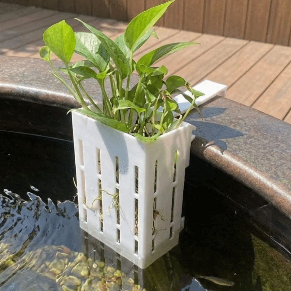 Wall-Mounted Aquarium Plant Ba - đánh giá và giá Aquarium Planted Wall