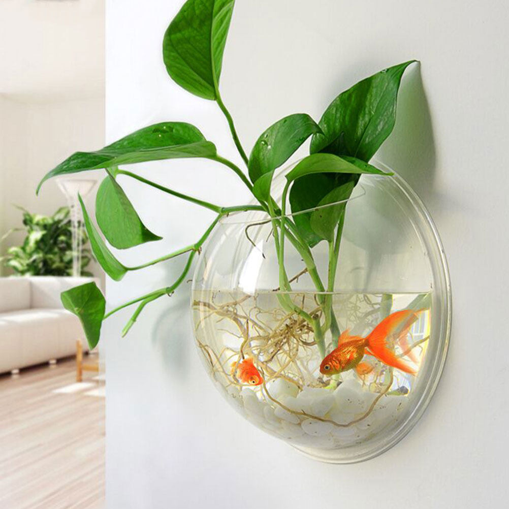 Wall Mounted Fish Bowl Acrylic - đánh giá và giá Aquarium Planted Wall