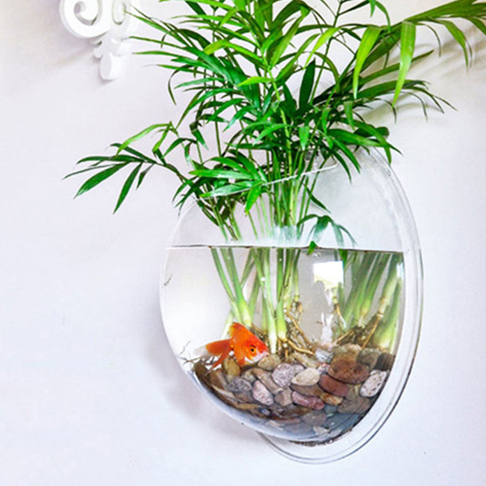 Wall Mounted Fish Bowl Acrylic - đánh giá và giá Aquarium Planted Wall