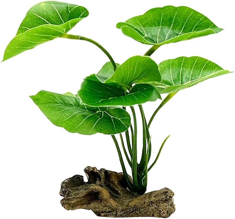 Betta Leaf Hammock 6in Plastic - đánh giá và giá Planted Aquarium For Betta