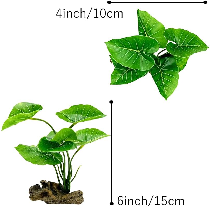 Betta Leaf Hammock 6in Plastic - đánh giá và giá Planted Aquarium For Betta