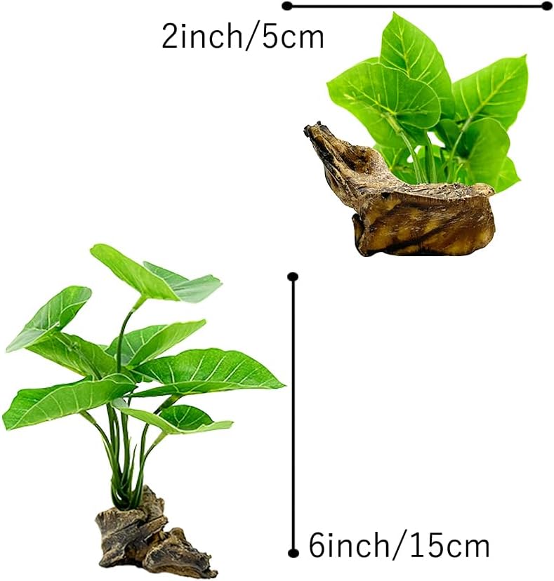 Betta Leaf Hammock 6in Plastic - đánh giá và giá Planted Aquarium For Betta