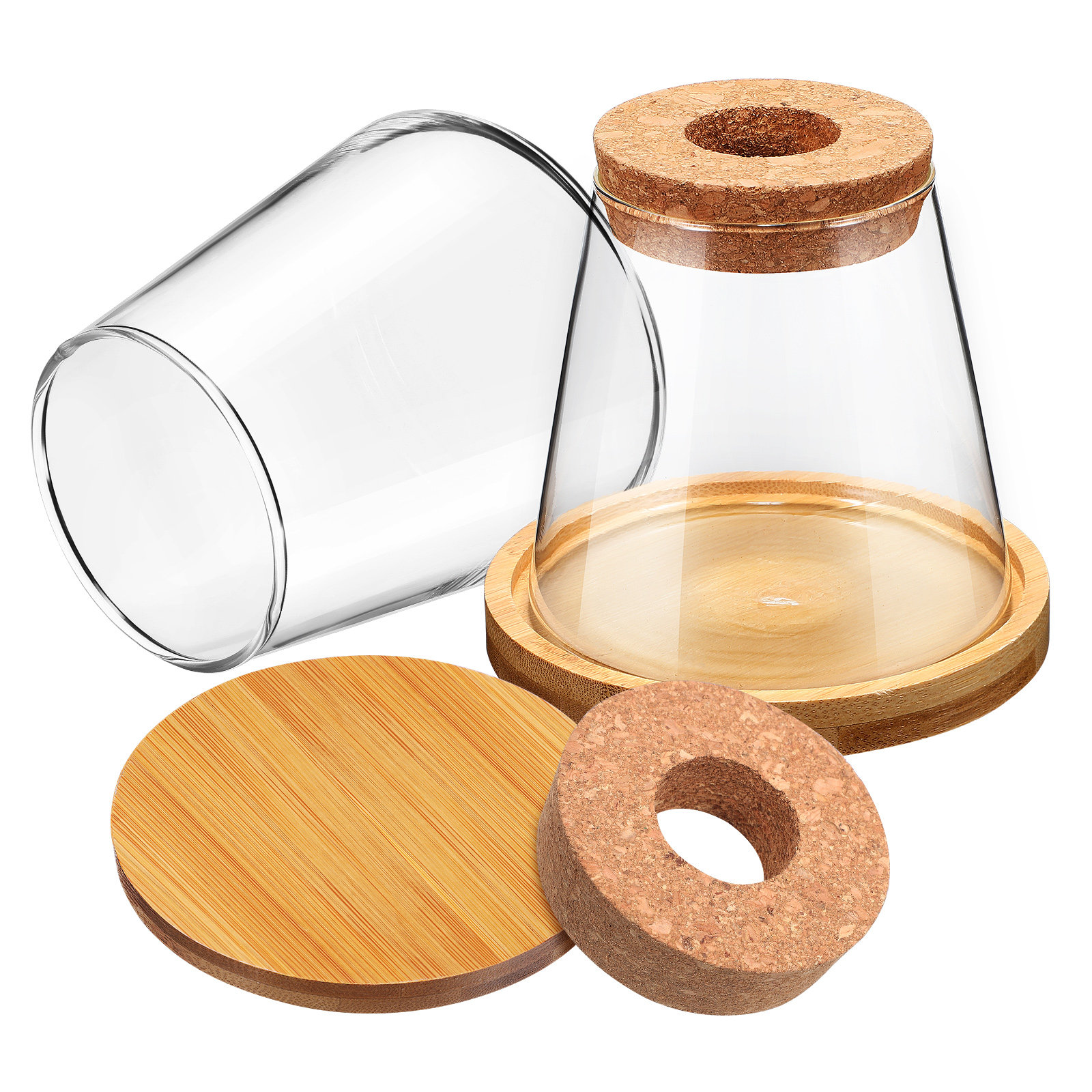 2Pcs Water Planters Glass Prop - đánh giá và giá Planted Aquarium Jar
