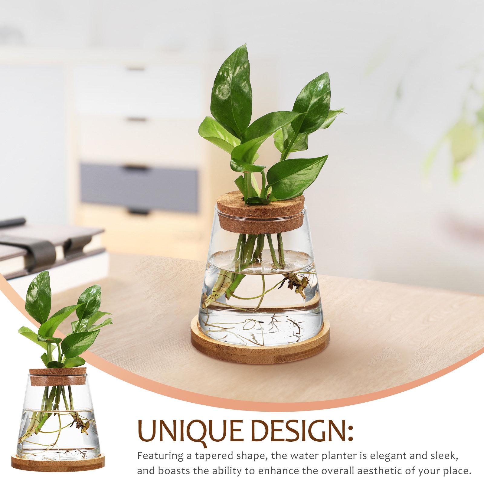 2Pcs Water Planters Glass Prop - đánh giá và giá Planted Aquarium Jar