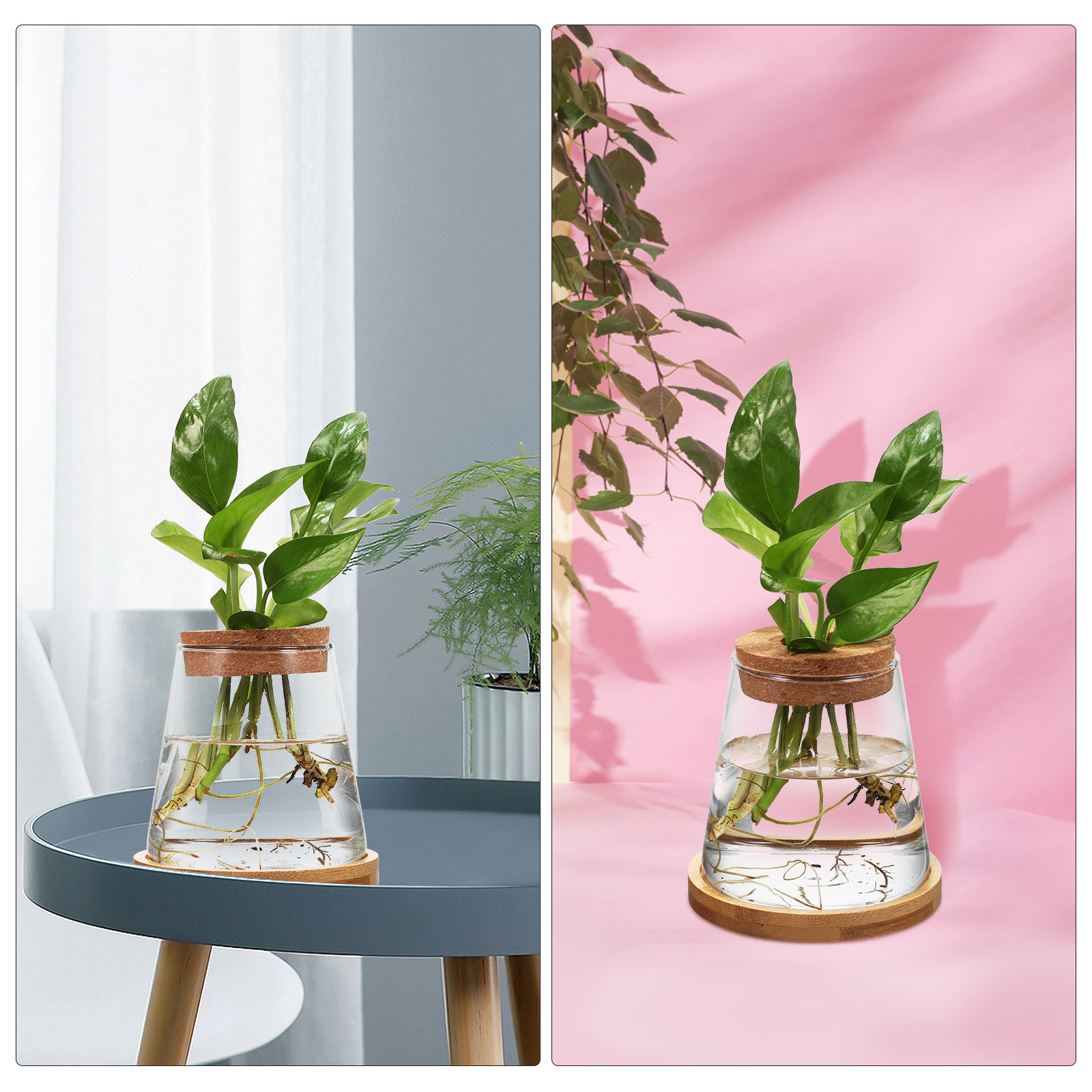 2Pcs Water Planters Glass Prop - đánh giá và giá Planted Aquarium Jar