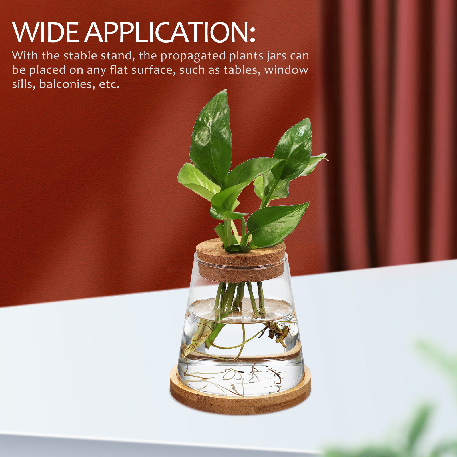 2Pcs Water Planters Glass Prop - đánh giá và giá Planted Aquarium Jar