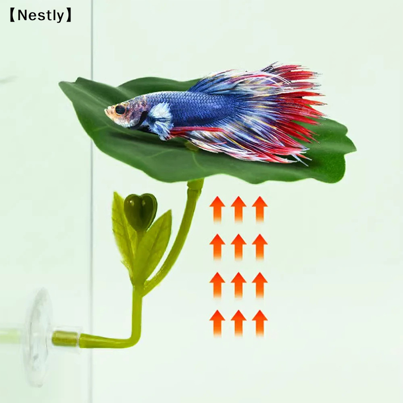 1Pc Green Leaf Hammock For Bet - đánh giá và giá Planted Aquarium For Betta