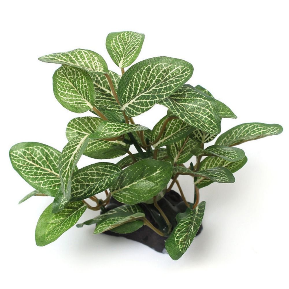 Plastic Lifelike Green for Fis - đánh giá và giá Planted Aquarium Jar