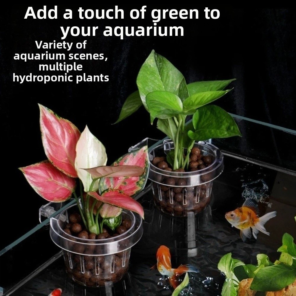 Transparent Fish Tank Grass Cu - đánh giá và giá Aquarium Planted Wall