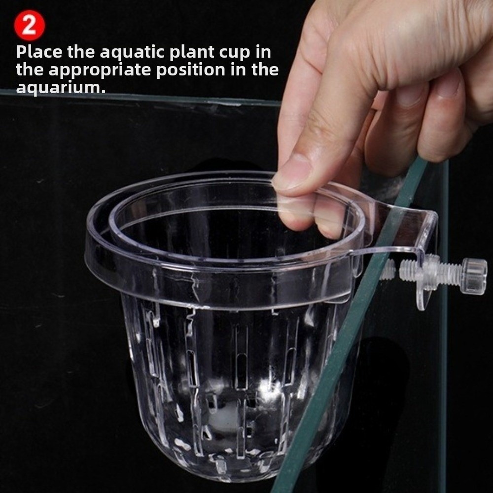 Transparent Fish Tank Grass Cu - đánh giá và giá Aquarium Planted Wall