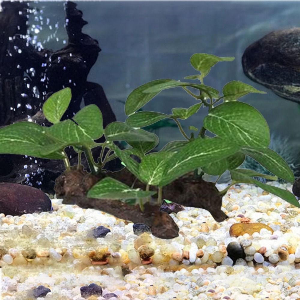 Silk Plastic Green for Fish Ta - đánh giá và giá Planted Aquarium Jar