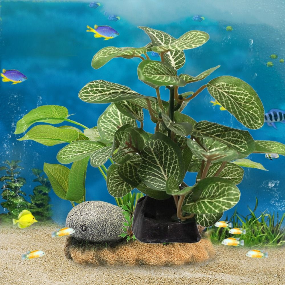 Silk Plastic Green for Fish Ta - đánh giá và giá Planted Aquarium Jar