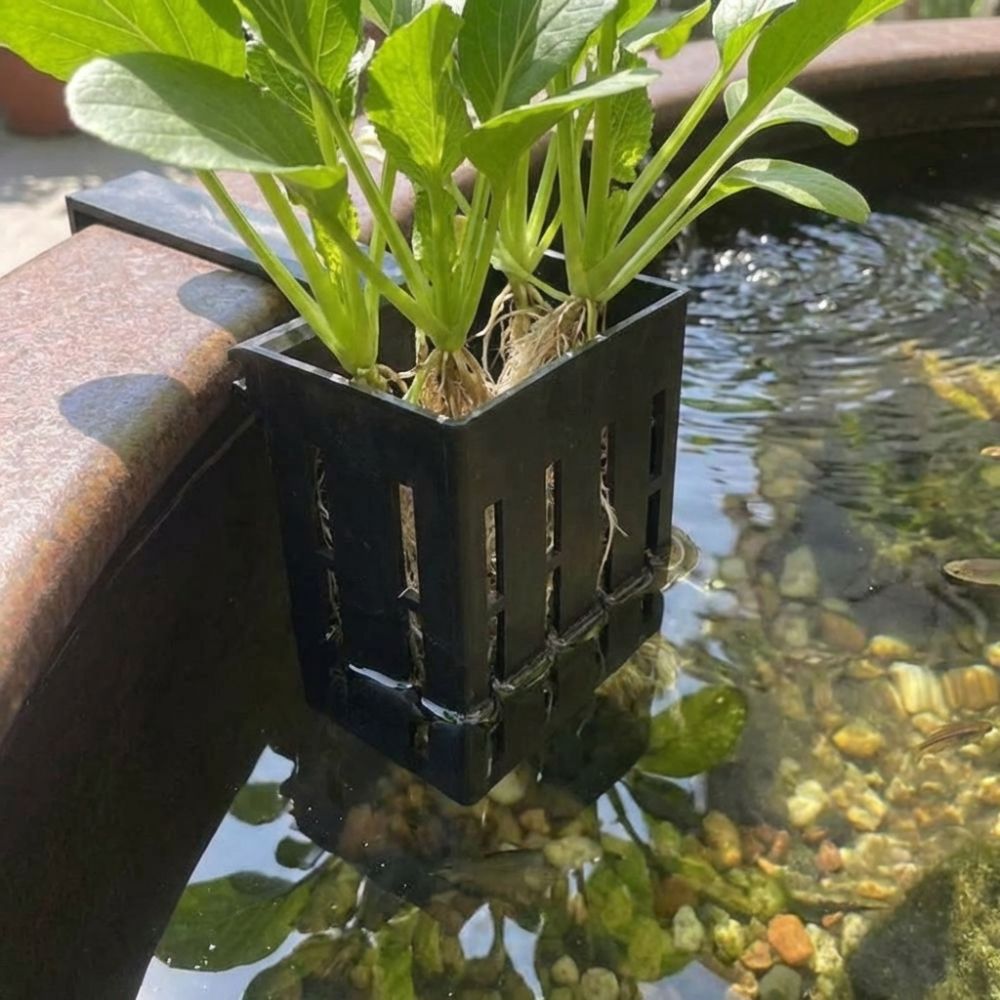 Wall-Mounted Aquarium Plant Ba - đánh giá và giá Aquarium Planted Wall