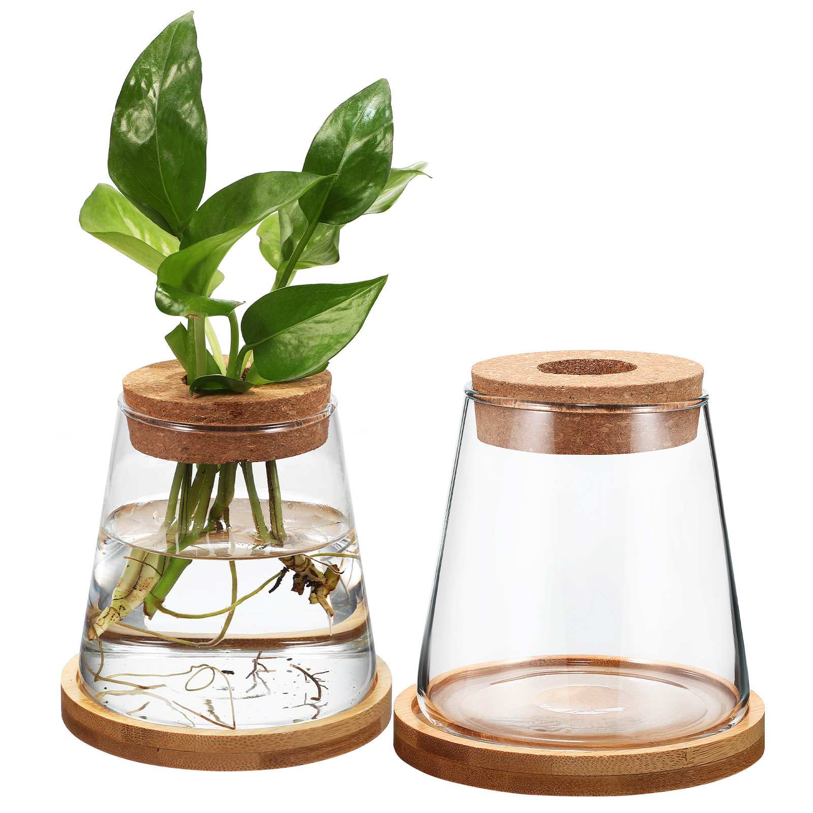 2Pcs Water Planters Glass Prop - đánh giá và giá Planted Aquarium Jar