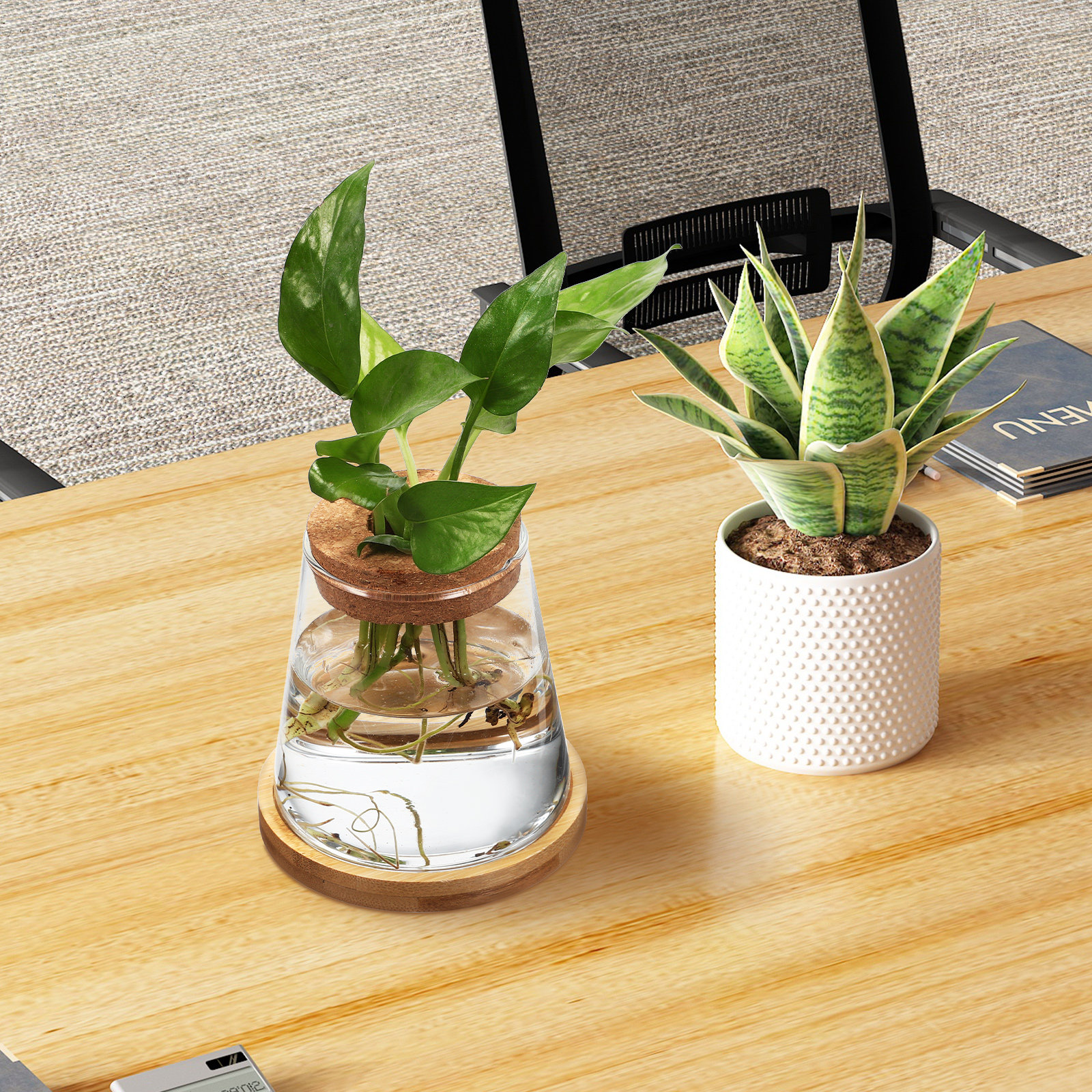 2Pcs Water Planters Glass Prop - đánh giá và giá Planted Aquarium Jar