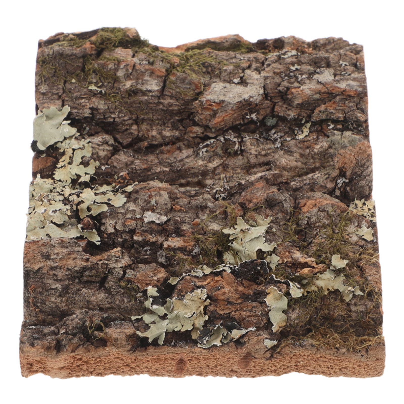 Cork Bark Tree Bark Color Terr - đánh giá và giá Aquarium Planted Wall
