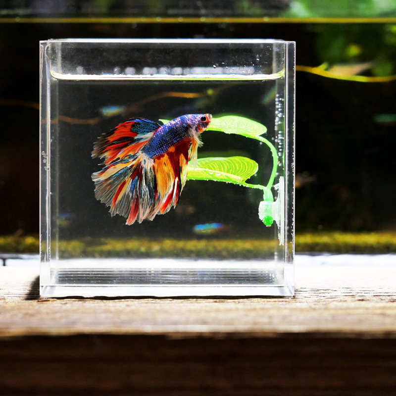 Artificial Aquarium Leaf Plant - đánh giá và giá Planted Aquarium For Betta
