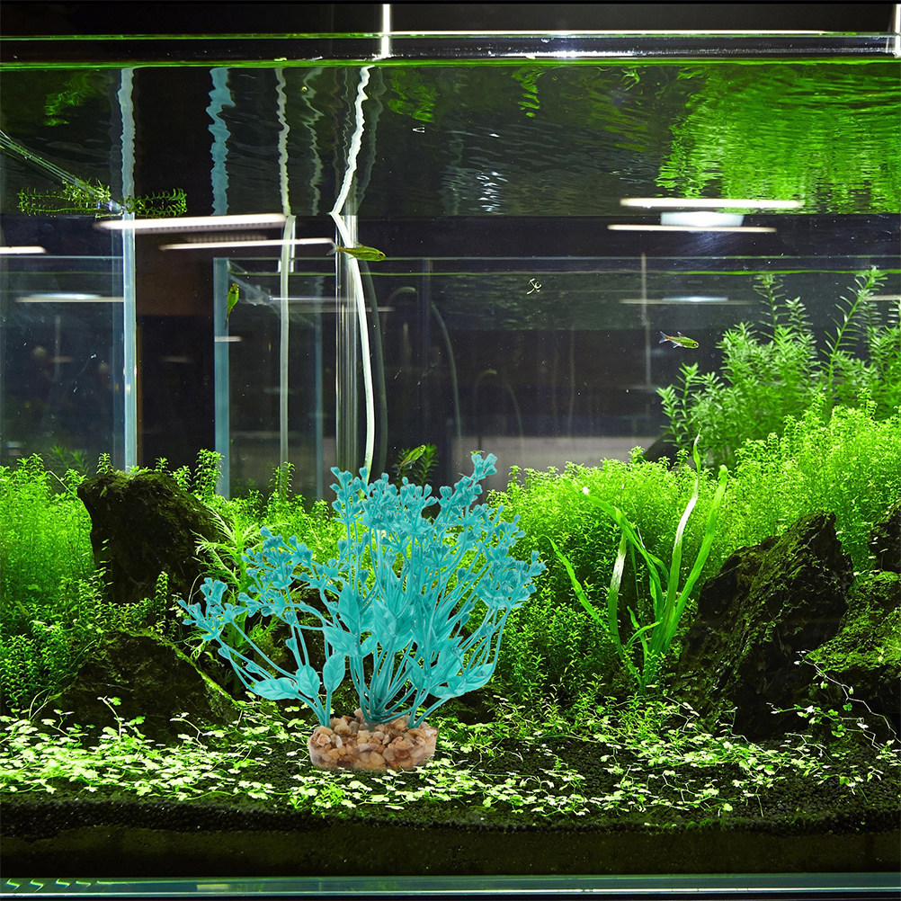 2Pcs Realistic Plastic Aquariu - đánh giá và giá Planted Aquarium For Betta