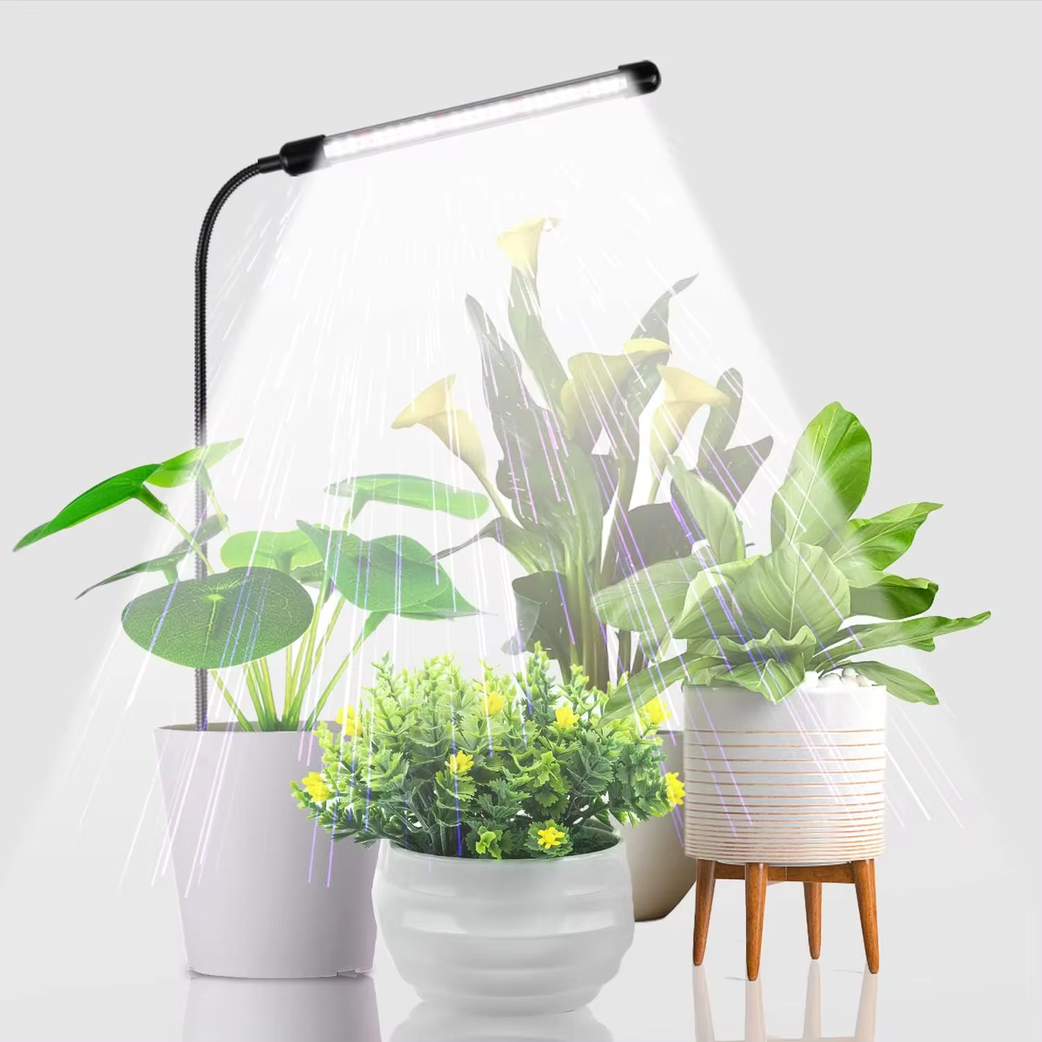 LED plug-in plant light full s - đánh giá và giá Aquarium Plant Factory