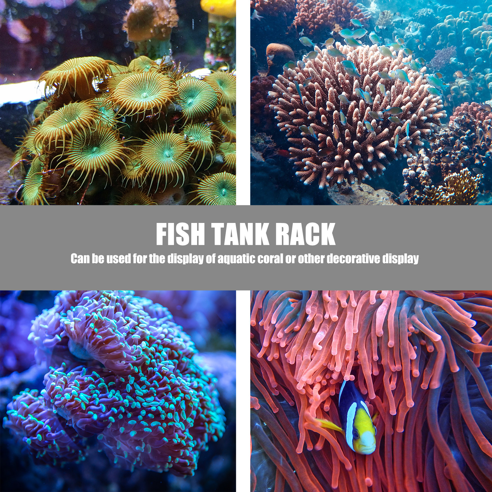 1Pcs Coral Base Stylish Strong - đánh giá và giá Aquarium Planted Tank Setup