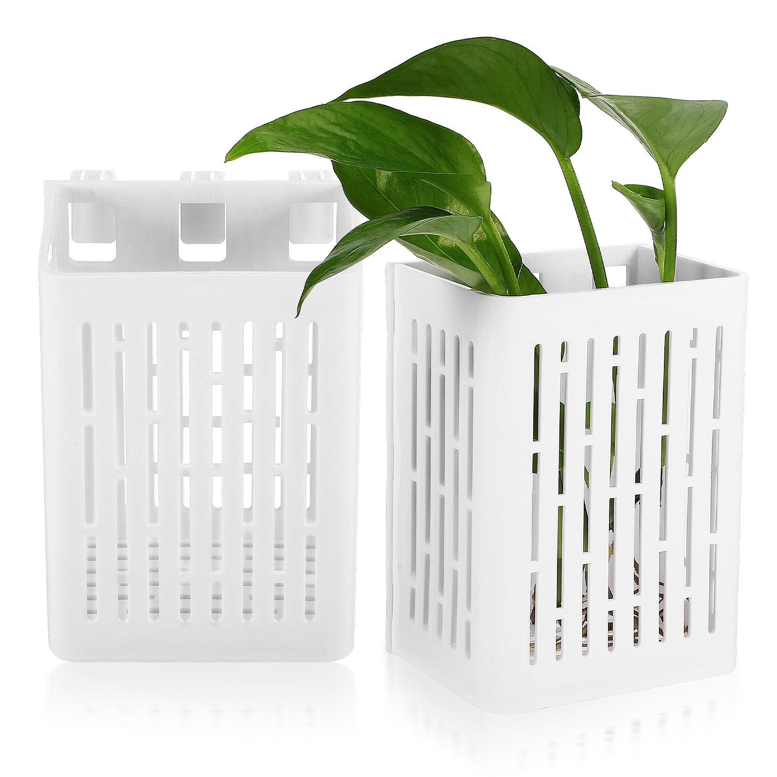 2Pcs Aquatic Plant Basket Hang - đánh giá và giá Aquarium Planted Set Up