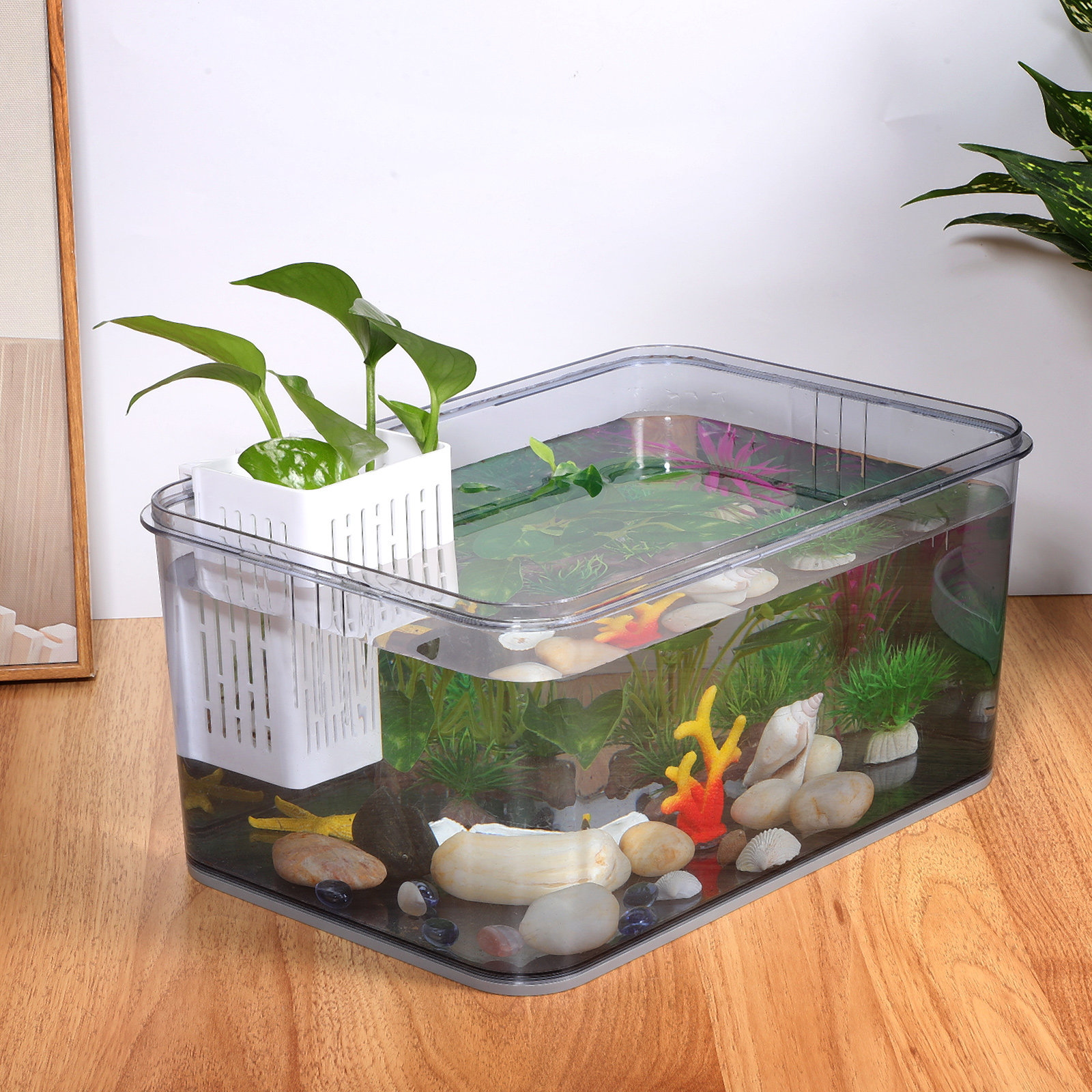 2Pcs Aquatic Plant Basket Hang - đánh giá và giá Aquarium Planted Set Up