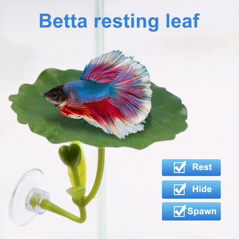 1 Pc For Betta Fish Stress-Red - đánh giá và giá Planted Aquarium For Betta