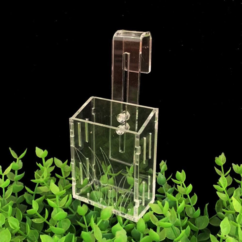 Wall Hanging Aquarium Plants C - đánh giá và giá Aquarium Planted Wall