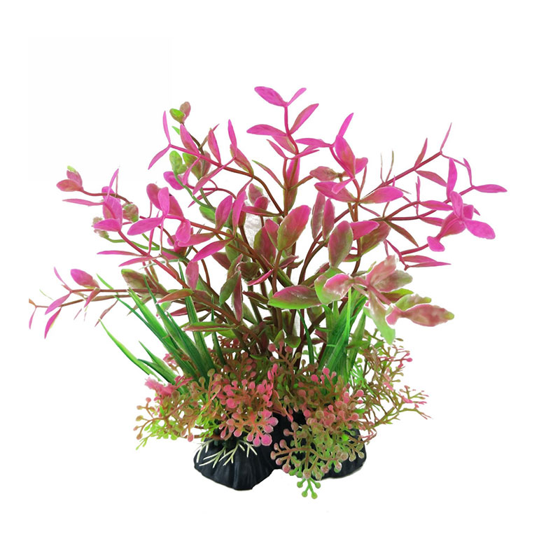 10pcs Factory Price Plastic Fi - đánh giá và giá Aquarium Plant Factory