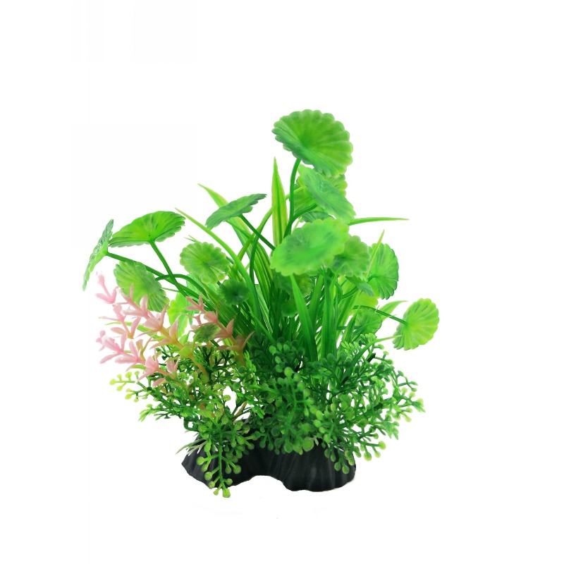 10pcs Factory Price Plastic Fi - đánh giá và giá Aquarium Plant Factory