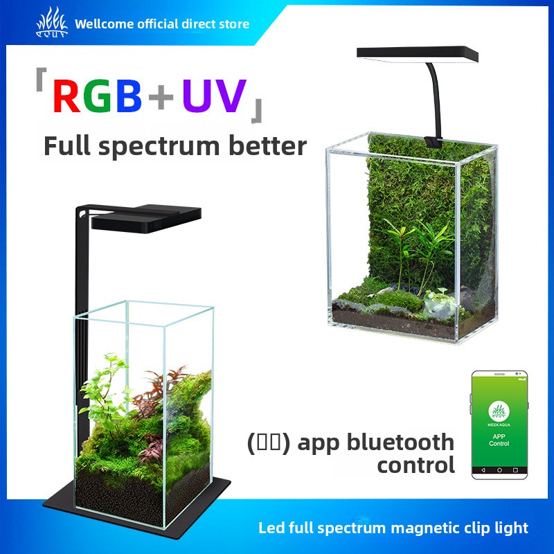 Week Aqua Mini9Pro Magnetic Cl - đánh giá và giá Planted Aquarium Jar