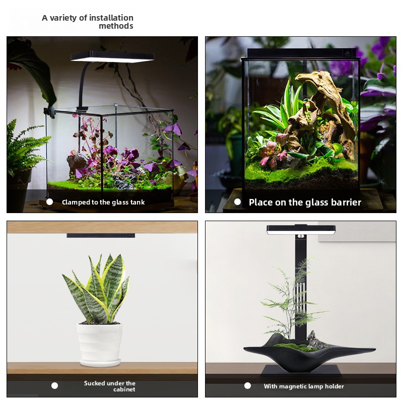 Week Aqua Mini9Pro Magnetic Cl - đánh giá và giá Planted Aquarium Jar